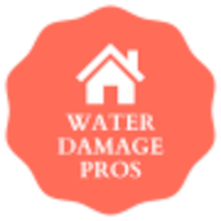 Spring Mountain Professional Restoration